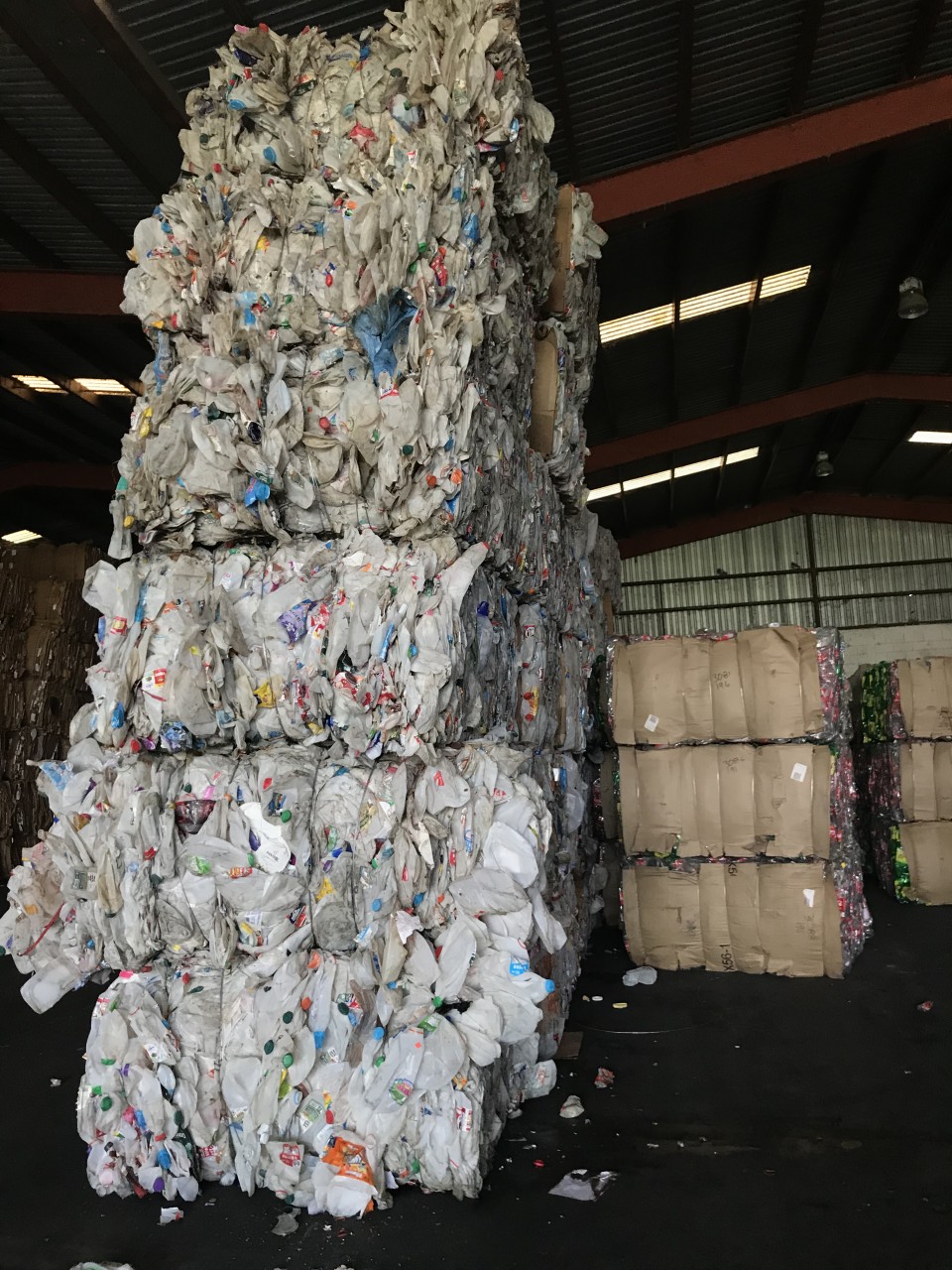 HDPE MILK BOTTLE SCRAP